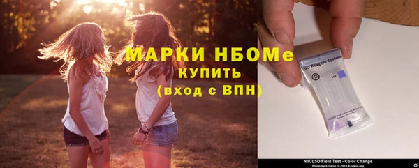 шишки Медногорск