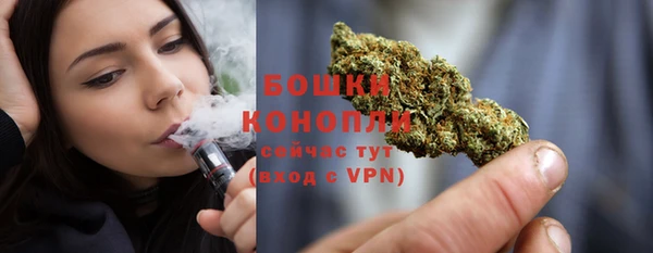 шишки Медногорск