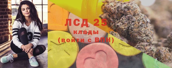 шишки Медногорск