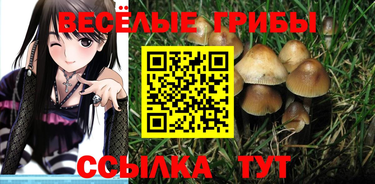 Кудымкар  Псилоцибиновые грибы Magic Shrooms  Вход с VPN 
