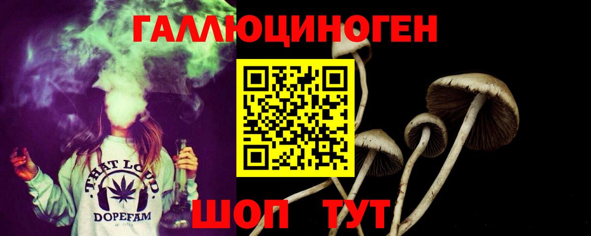 Галлюциногенные грибы GOLDEN TEACHER Кудымкар
